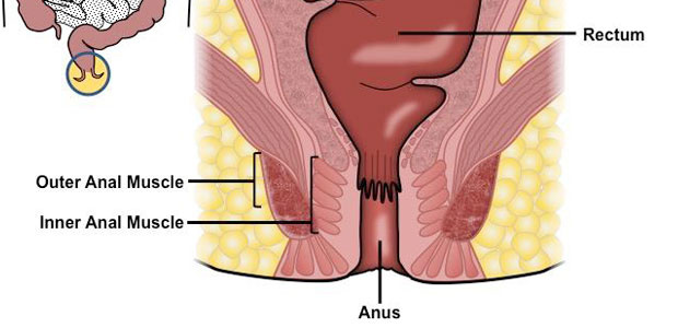 Anal Cancer, anal cancer symptoms, anal cancer diagnosis, anal cancer treatment