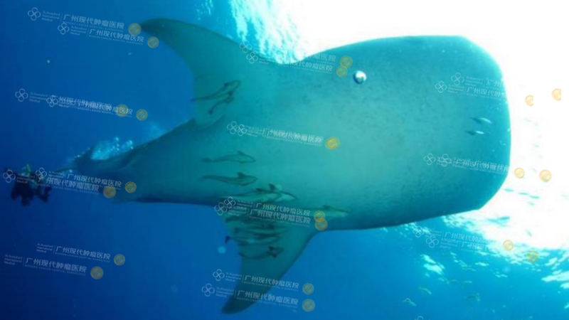 1-033350181.png 6.png