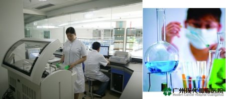 การปลุกถ่ายเซลล์ต้นกำเนิด