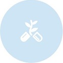 Liệu pháp miễn dịch tế bào