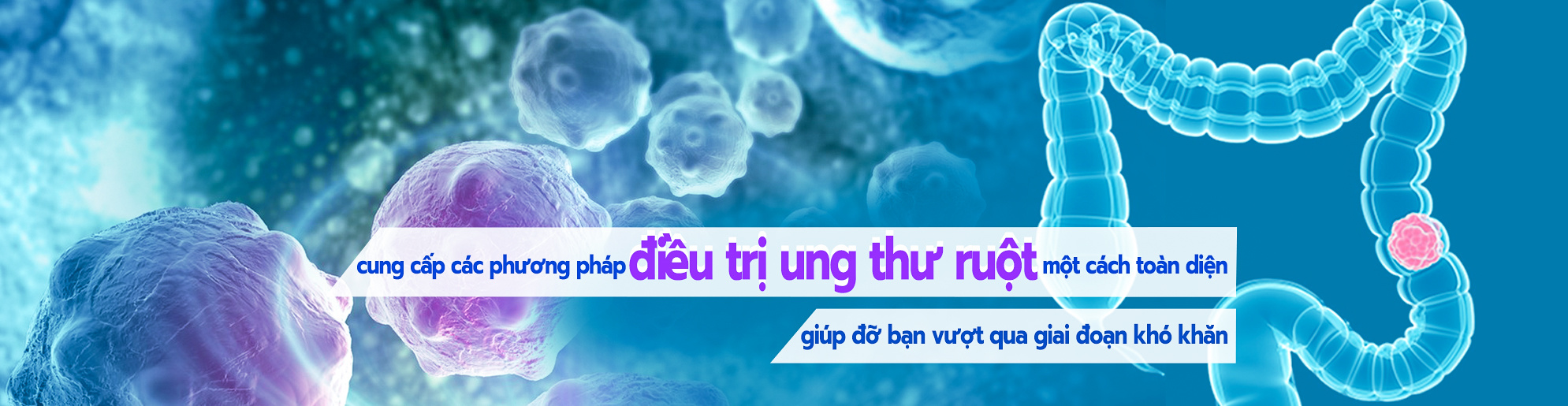 https://asiancancer.com.vn/banner/6969.html