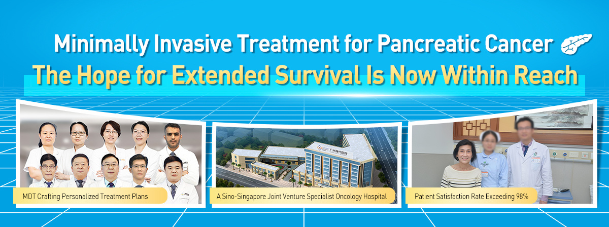 Integrated Minimally Invasive Treatment for Pancreatic Cancer – A Surgery-Free Approach