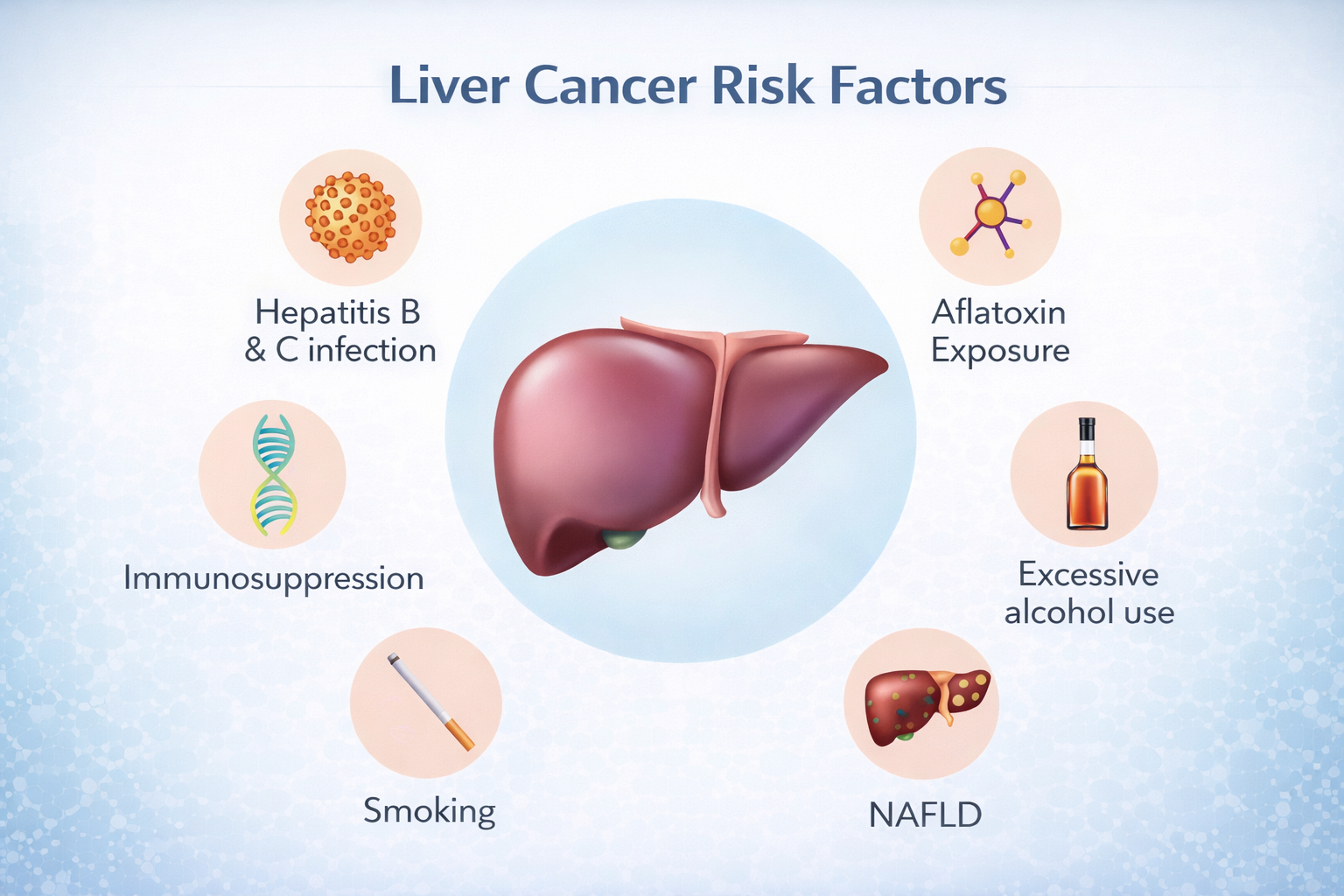Liver Cancer Risk Factors Liver Cancer Risk Factors