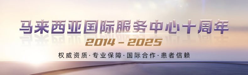 马来西亚国际服务中心十周年（2014–2025）