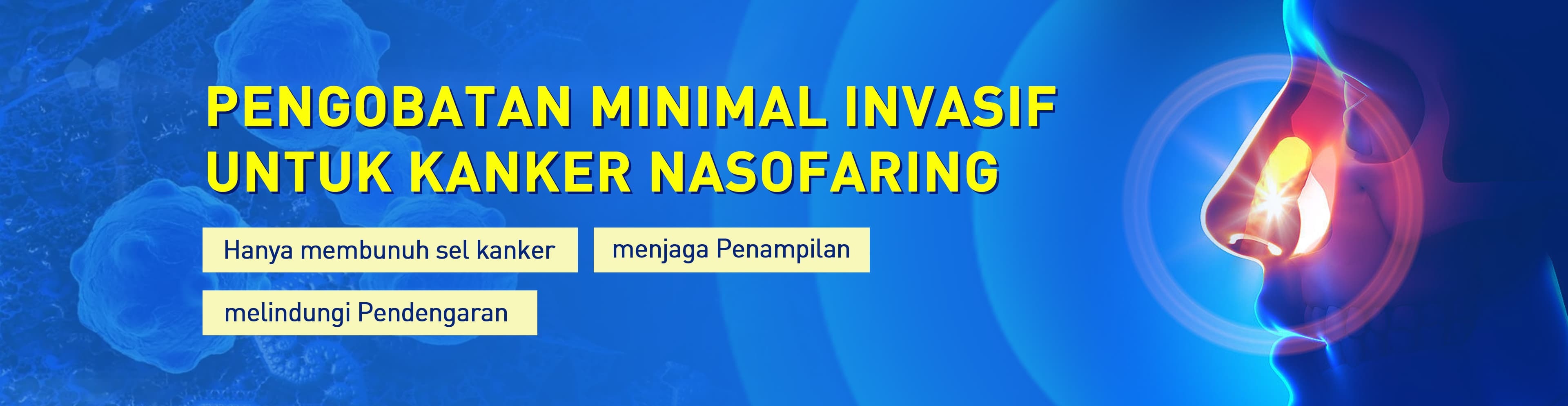 Pengobatan,Minimal,Invasif,Pengobatan,Minimal,Invasif,